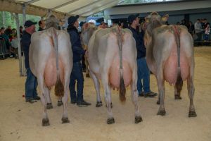 Betriebsmeistergruppe Studer Markus 2